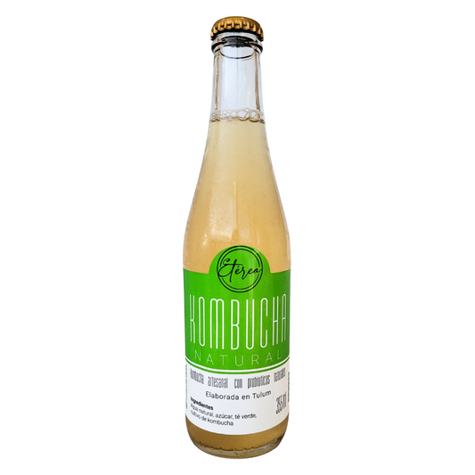 Kombucha artesanal natural 355ml